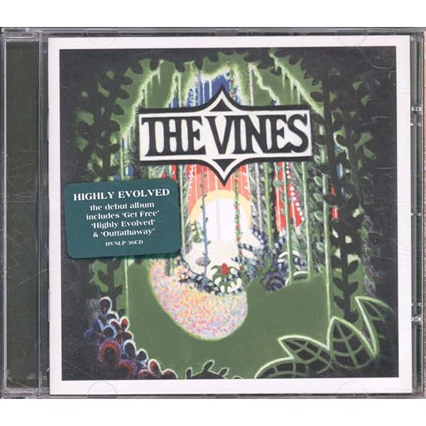 UKオリジナル　The Vines Winning Days レコード UKオリジナル The Vines Winning Days レコード